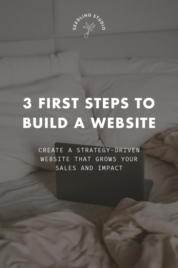 The First 3 Steps to Build a Website for Your Online Business